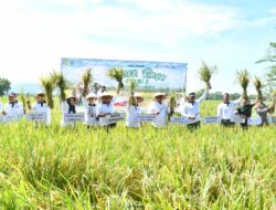 Dandim Ponorogo Dampingi Danrem 081/Dsj Ikuti Gerakan Menanam dan Panen Raya bersama Presiden RI Secara Virtual