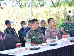 Dukung Swasembada Pangan, Dandim 0802/Ponorogo Hadiri Panen Raya Jagung Serentak Kuartal II