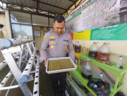 Penyemaian Bibit Tanaman dan POC di Polsek Sukorejo