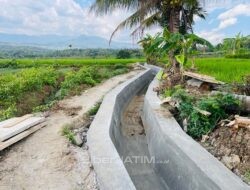 Program P3-TGAI di Desa Paringan di Rasa Kelompok HIPPA Darmo Tirto Tepat Sasaran