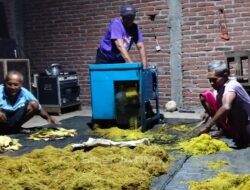 Desa Sambirejo Jadi Sentra Tembakau Terbesar di Wonogiri