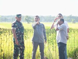 Ngawi Lumbung Padi Nasional, Danrem Untoro Dorong Peningkatan Produktivitas