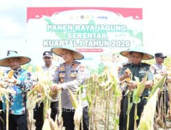 Polres Madiun Kota Panen Raya Jagung, 2,5 Ton Hasil dari Lahan 2 Hektare   