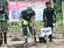 Korem 081/DSJ Tanam 10.800 Mangrove dan Tanaman Keras di Pacitan