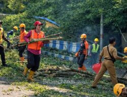 Jelang Ramadan 2026, Dinas Lingkungan Hidup Ponorogo Rapikan Pohon di Jalan Soekarno-Hatta