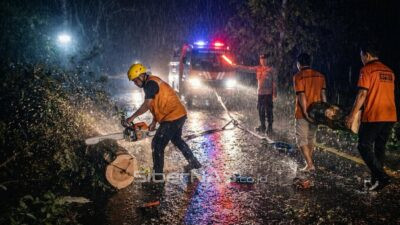 TNI dan Personel Gabungan Evakuasi Pohon Tumbang di Jalan Nasional Trenggalek