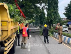 DLH Ponorogo Pangkas Pohon di Jalan Raya Ponorogo – Pacitan, Jaga Keselamatan Pengguna Jalan