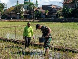 Kapenrem 081/DSJ: Pendampingan Babinsa Bentuk Kepedulian TNI AD