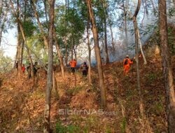 Gerak Cepat Polsek Slahung Tangani Kebakaran Hutan, Api Berhasil Dipadamkan Pukul 23.00 WIB