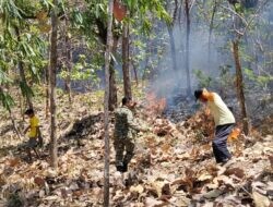 Babinsa Kodim Ponorogo dan Unsur Terkait Gerak Cepat Padamkan Kebakaran Hutan