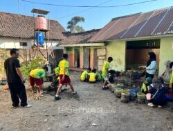 Dari Lahan Kosong Menjadi Taman Pangan, KKN 149 UMM Tanamkan Kesadaran Ketahanan Pangan Sejak Dini
